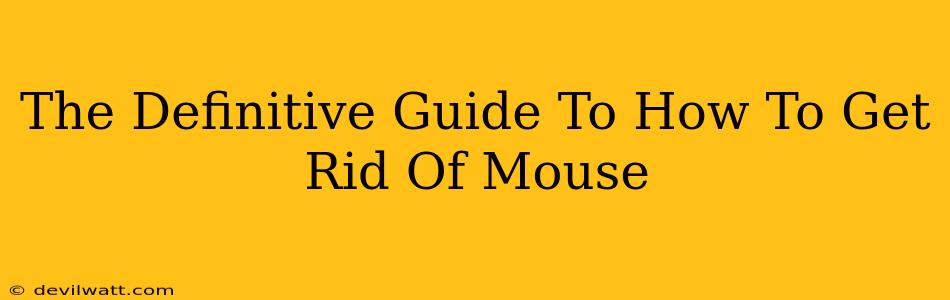 The Definitive Guide To How To Get Rid Of Mouse