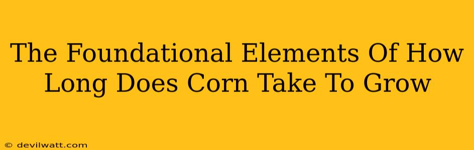 The Foundational Elements Of How Long Does Corn Take To Grow