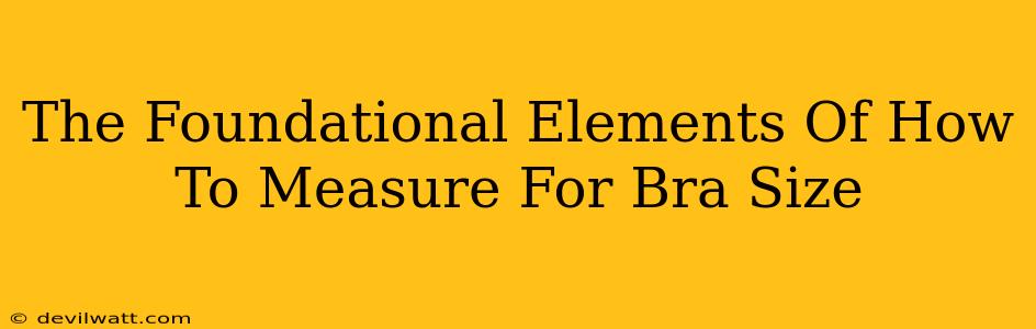 The Foundational Elements Of How To Measure For Bra Size