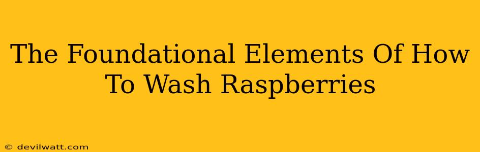 The Foundational Elements Of How To Wash Raspberries