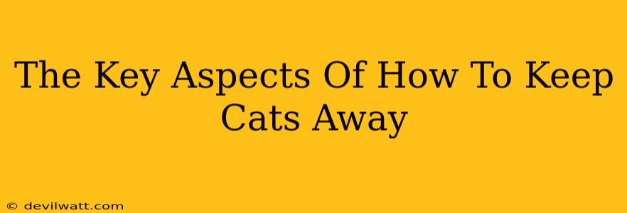 The Key Aspects Of How To Keep Cats Away