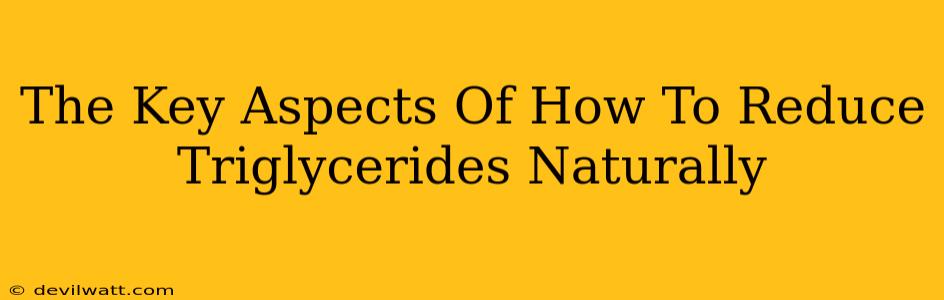 The Key Aspects Of How To Reduce Triglycerides Naturally