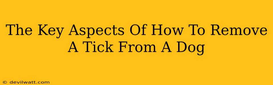 The Key Aspects Of How To Remove A Tick From A Dog