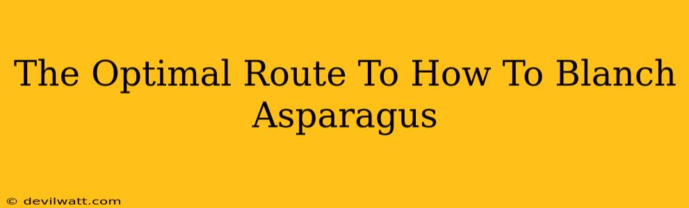 The Optimal Route To How To Blanch Asparagus