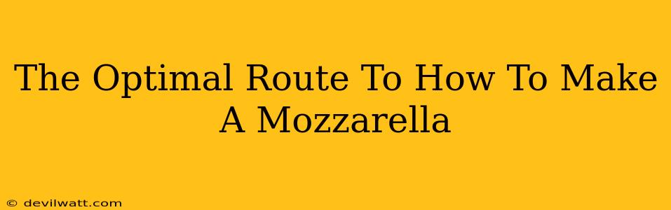 The Optimal Route To How To Make A Mozzarella