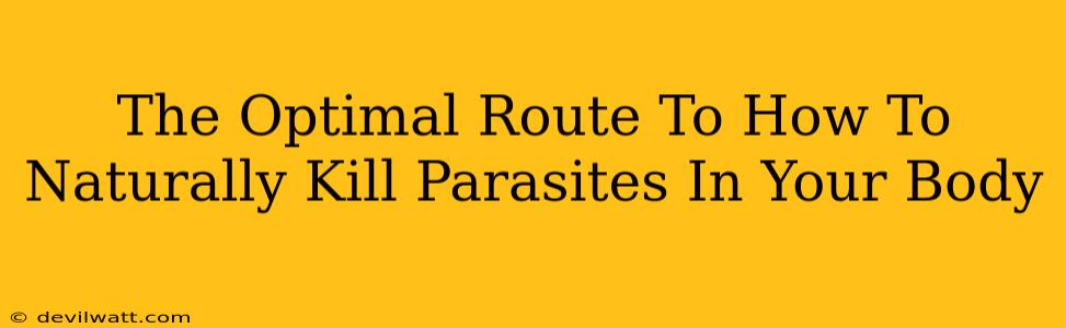 The Optimal Route To How To Naturally Kill Parasites In Your Body