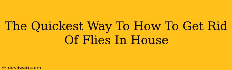 The Quickest Way To How To Get Rid Of Flies In House