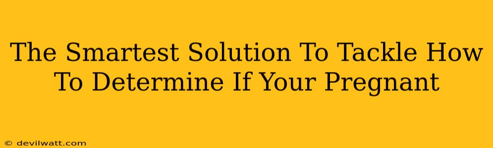 The Smartest Solution To Tackle How To Determine If Your Pregnant