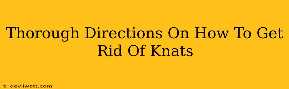 Thorough Directions On How To Get Rid Of Knats