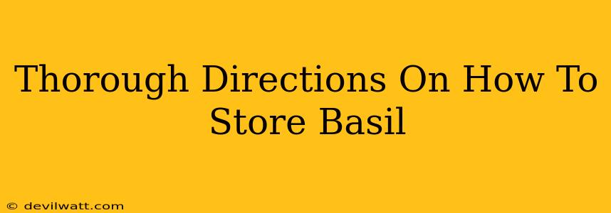 Thorough Directions On How To Store Basil