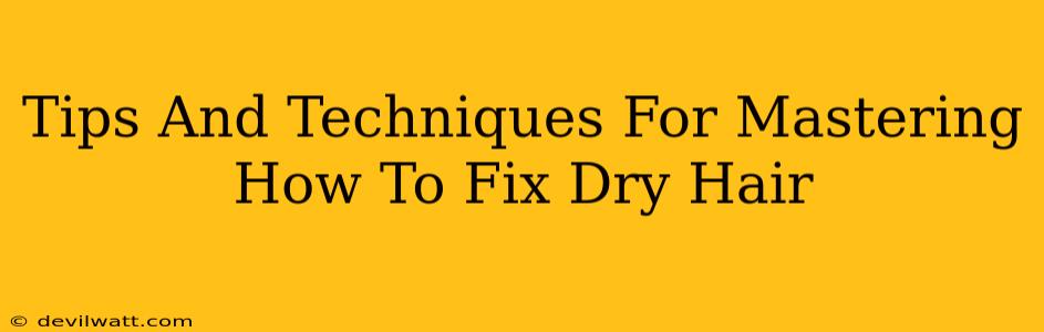 Tips And Techniques For Mastering How To Fix Dry Hair