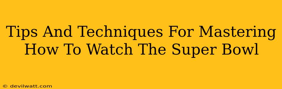 Tips And Techniques For Mastering How To Watch The Super Bowl