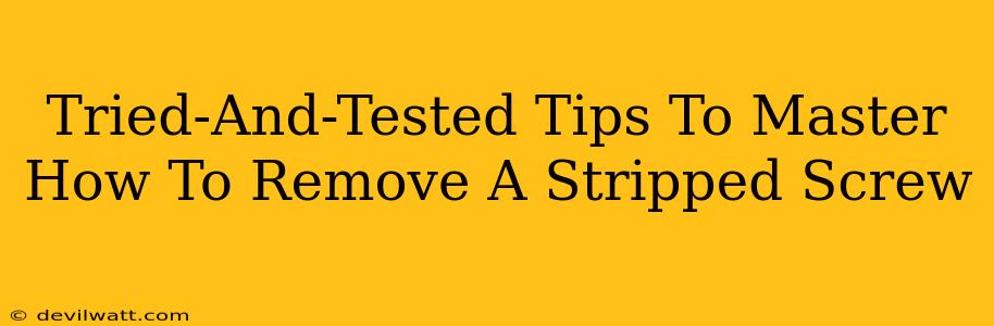 Tried-And-Tested Tips To Master How To Remove A Stripped Screw