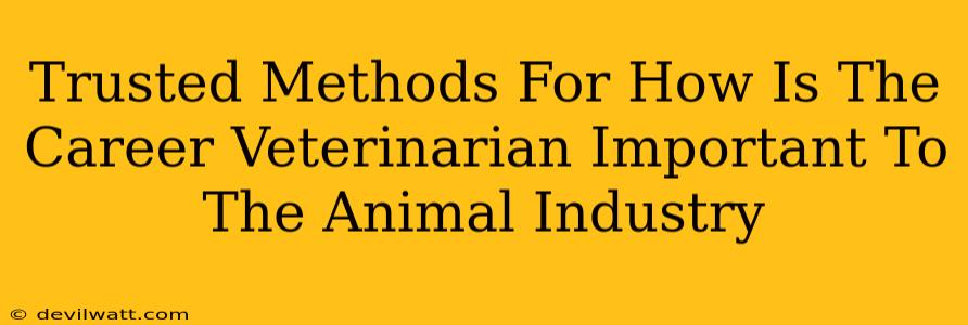 Trusted Methods For How Is The Career Veterinarian Important To The Animal Industry