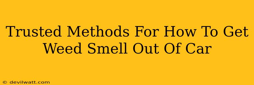 Trusted Methods For How To Get Weed Smell Out Of Car