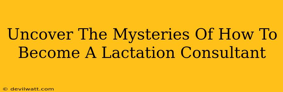 Uncover The Mysteries Of How To Become A Lactation Consultant