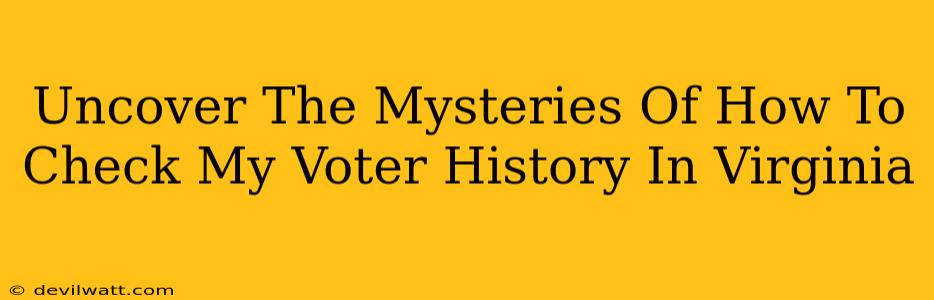 Uncover The Mysteries Of How To Check My Voter History In Virginia