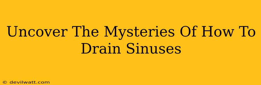 Uncover The Mysteries Of How To Drain Sinuses
