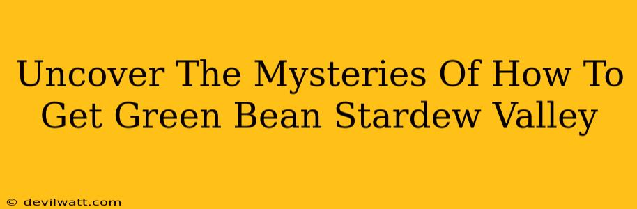 Uncover The Mysteries Of How To Get Green Bean Stardew Valley