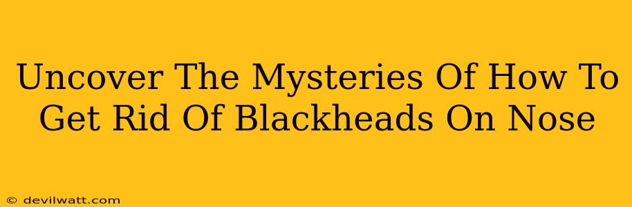 Uncover The Mysteries Of How To Get Rid Of Blackheads On Nose