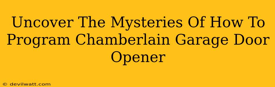 Uncover The Mysteries Of How To Program Chamberlain Garage Door Opener