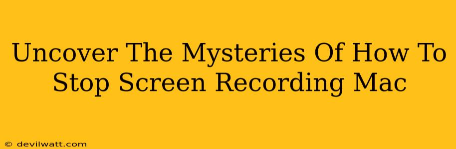 Uncover The Mysteries Of How To Stop Screen Recording Mac