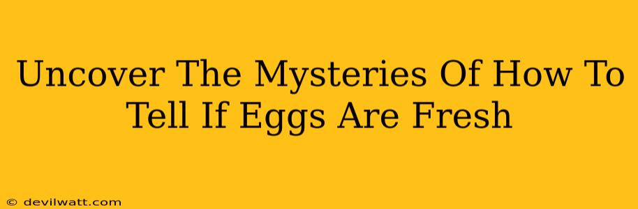 Uncover The Mysteries Of How To Tell If Eggs Are Fresh