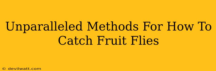 Unparalleled Methods For How To Catch Fruit Flies