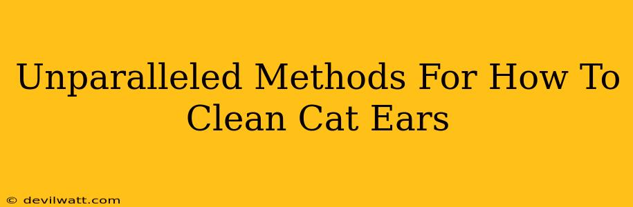 Unparalleled Methods For How To Clean Cat Ears