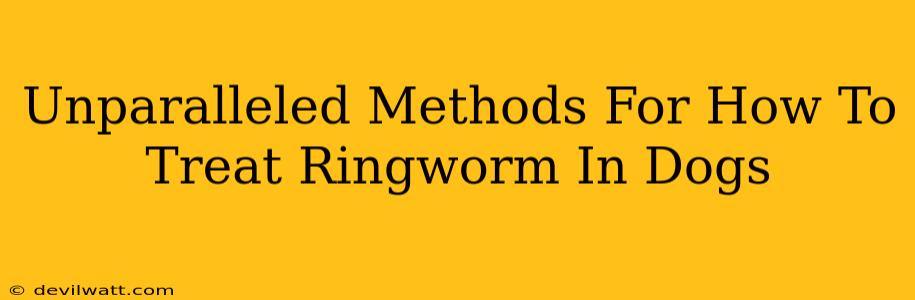 Unparalleled Methods For How To Treat Ringworm In Dogs