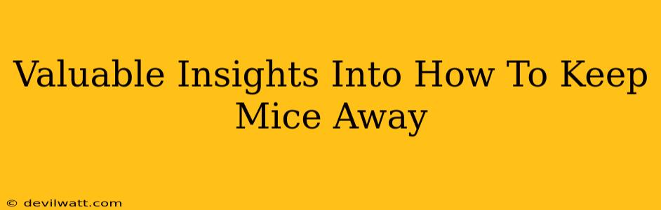 Valuable Insights Into How To Keep Mice Away