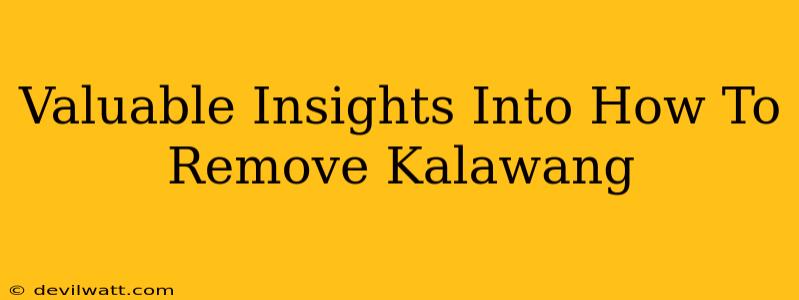 Valuable Insights Into How To Remove Kalawang