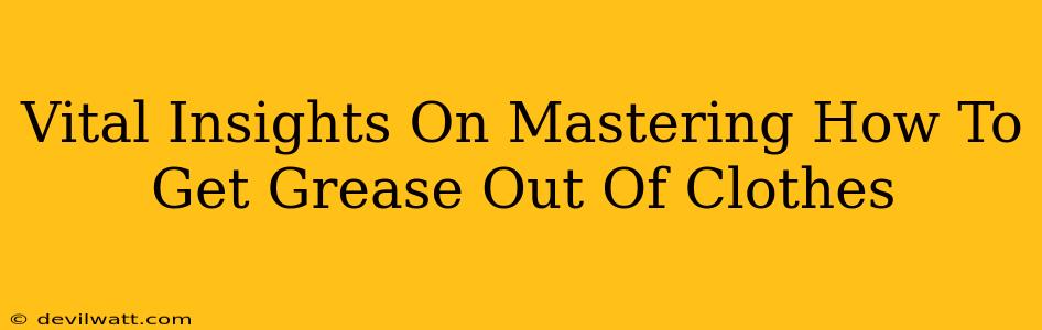 Vital Insights On Mastering How To Get Grease Out Of Clothes