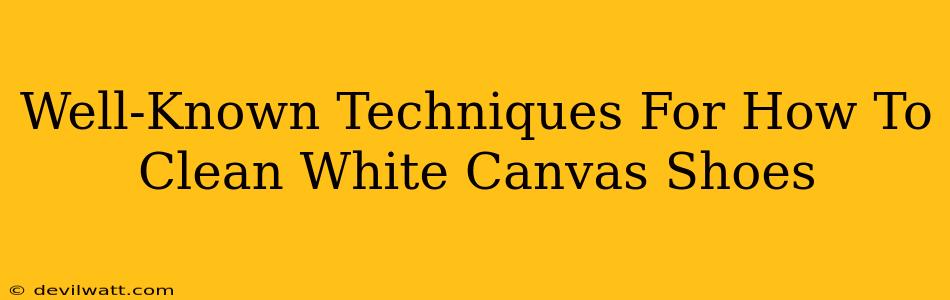 Well-Known Techniques For How To Clean White Canvas Shoes