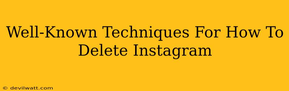 Well-Known Techniques For How To Delete Instagram