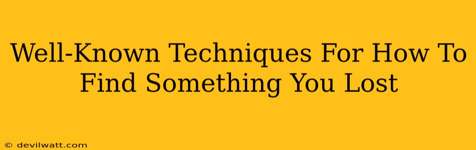 Well-Known Techniques For How To Find Something You Lost