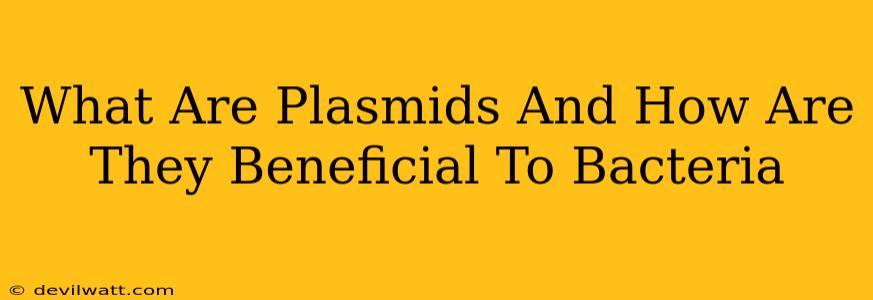 What Are Plasmids And How Are They Beneficial To Bacteria