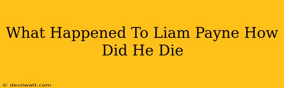 What Happened To Liam Payne How Did He Die